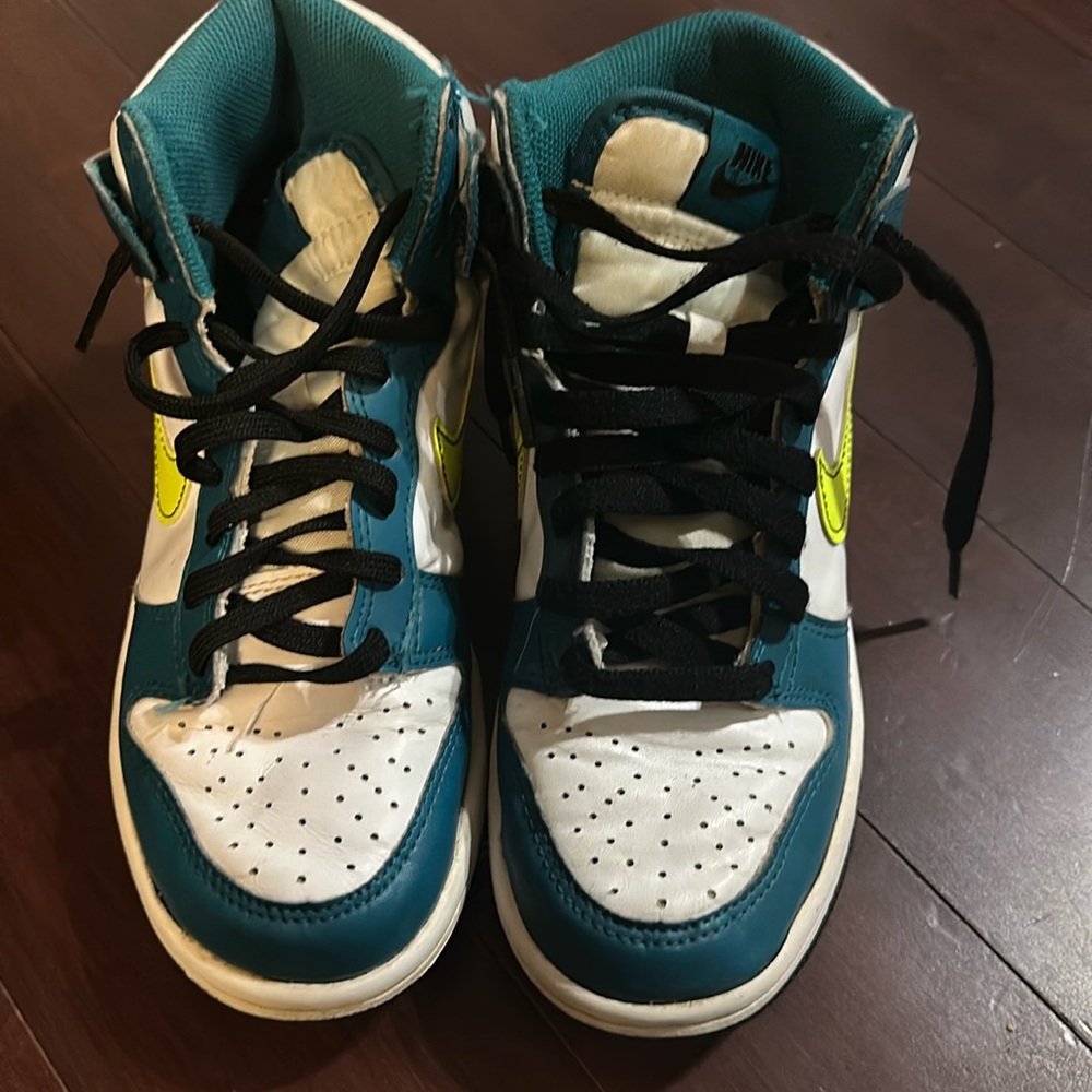 Nike high top dunks